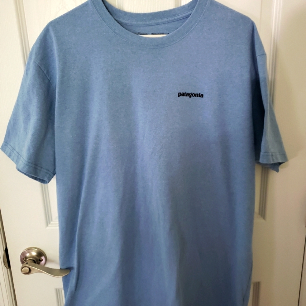 Patagonia Light Blue Short Sleeve Tee